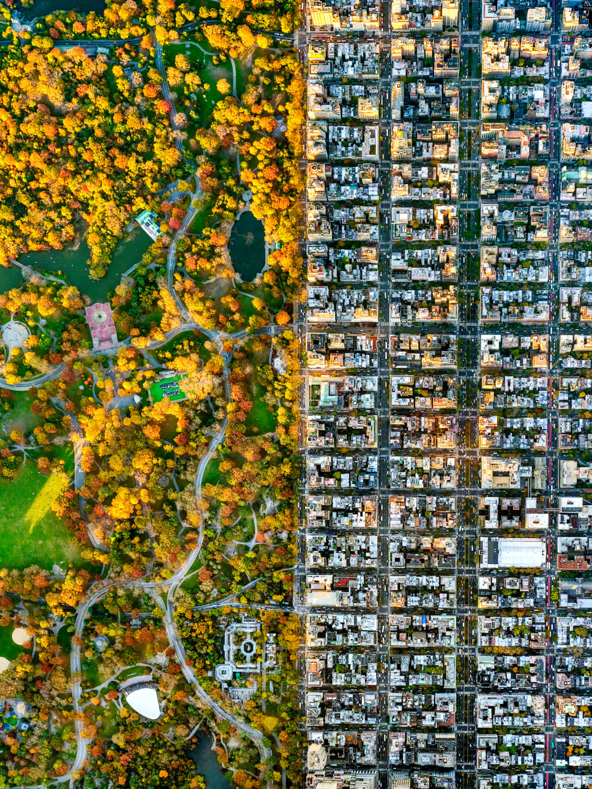 Jeffrey Milstein, NYC Central Park Fall, 2021