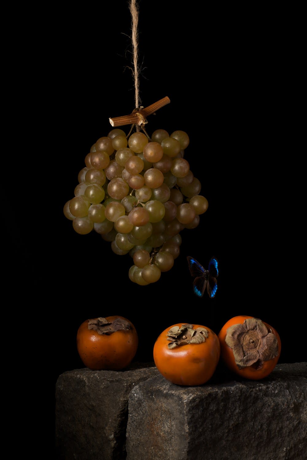 Paulette Tavormina, Persimmons, After A.C., 2009
