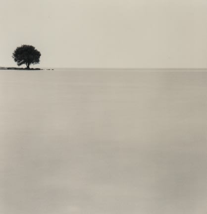 Michael Kenna, Biwa Lake Tree, Study 3, Omi, Honshu, Japan