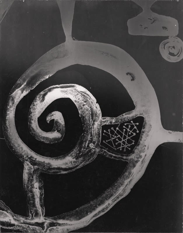 György Kepes, Untitled photogram, 1942