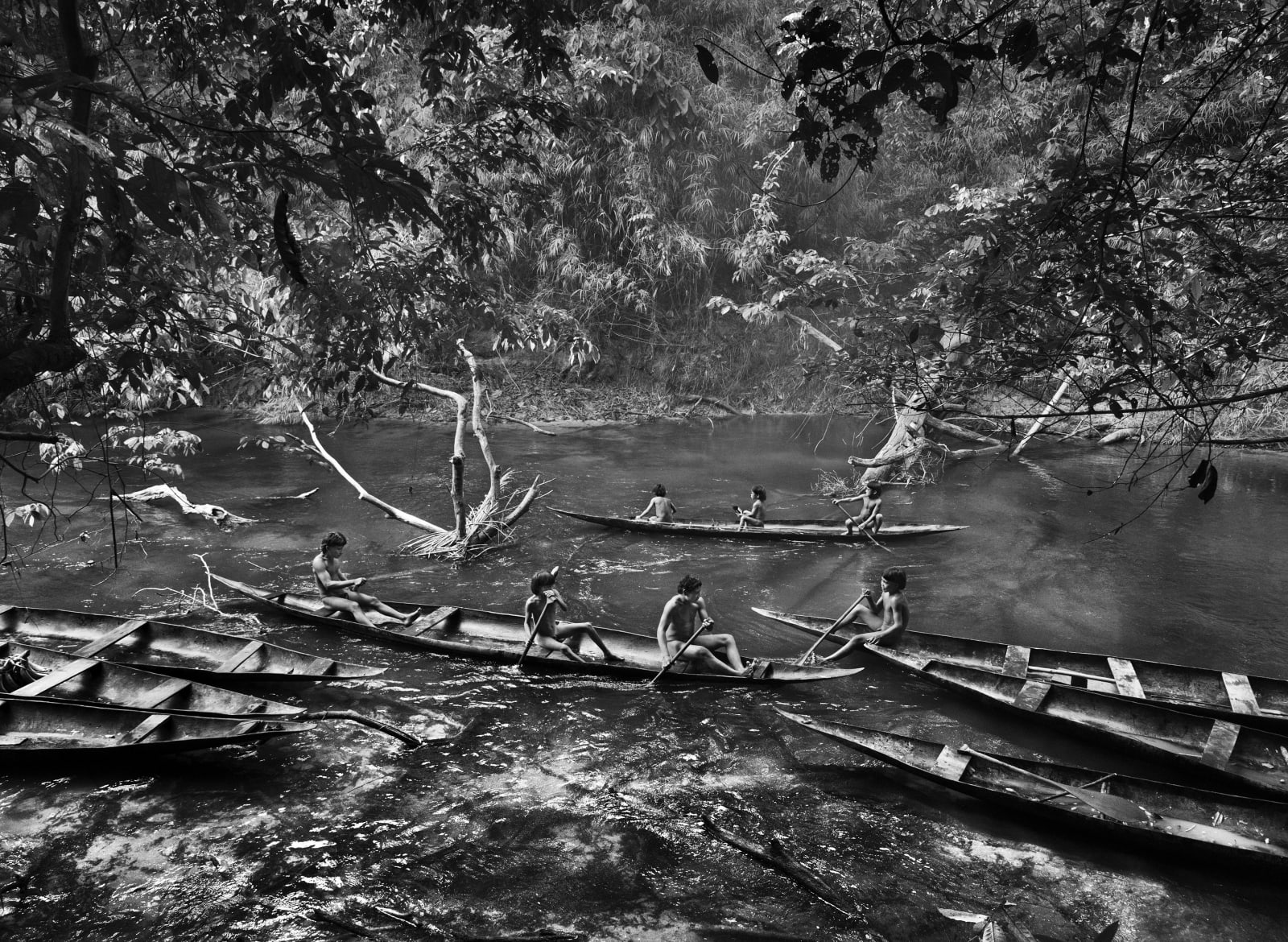 Sebastião Salgado, Fishing with timbó, a toxic substance that can paralyze  fish, in the Jukihi stream. Suruwahá Indigenous Territory, State of  Amazonas, Brazil, 2017 | Robert Klein Gallery