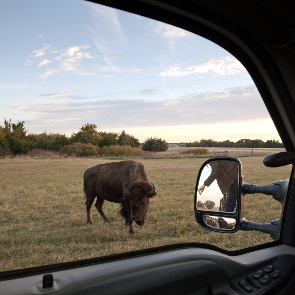 Magda Biernat, Deer Time Ranch, Perkins, Oklahoma, 2013