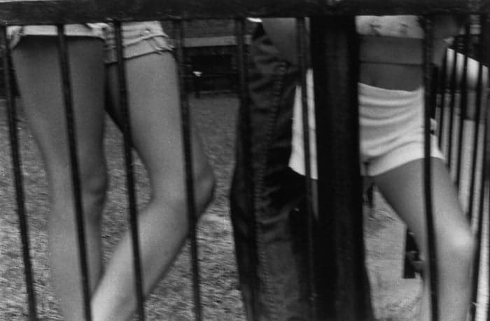 Mark Cohen, Legs through fence, Wilkes-Barre, 1975