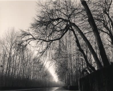 Michael Kenna, Light on Water, Courances, France, 1997