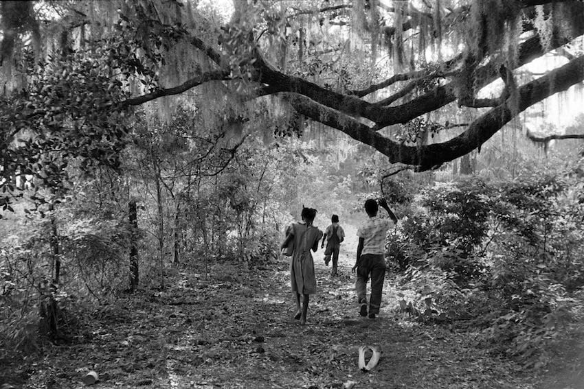 Constantine Manos, Daufuskie Island, South Carolina, Kids Walking path under Tree, 1952