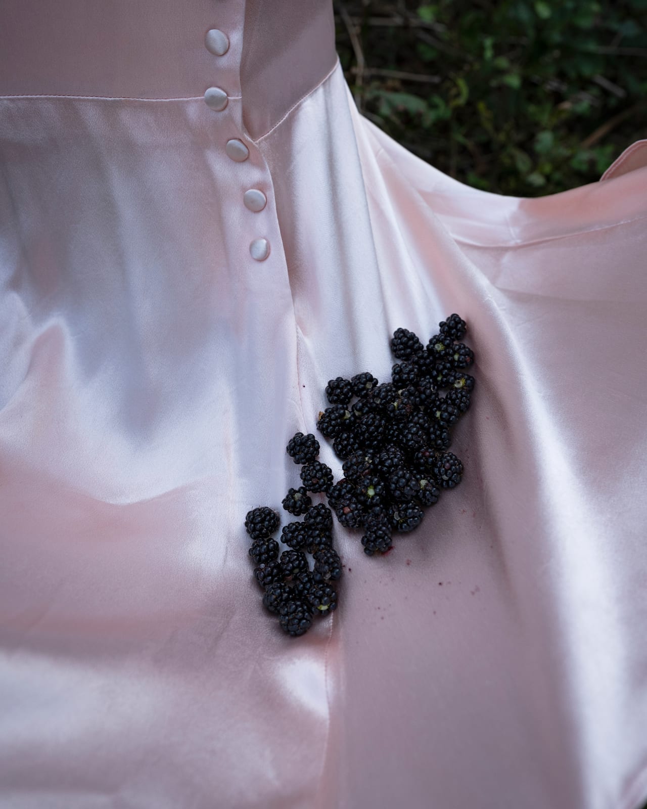 Cig Harvey, Blackberries, 2019