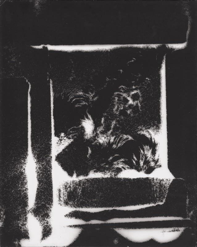 György Kepes, Untitled photogram, 1969