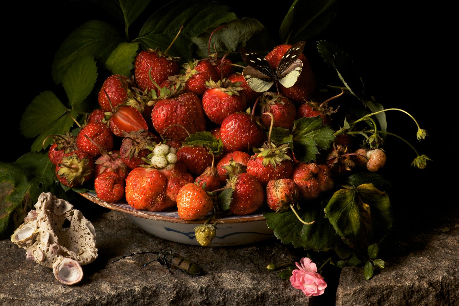 Paulette Tavormina, Strawberries, 2009