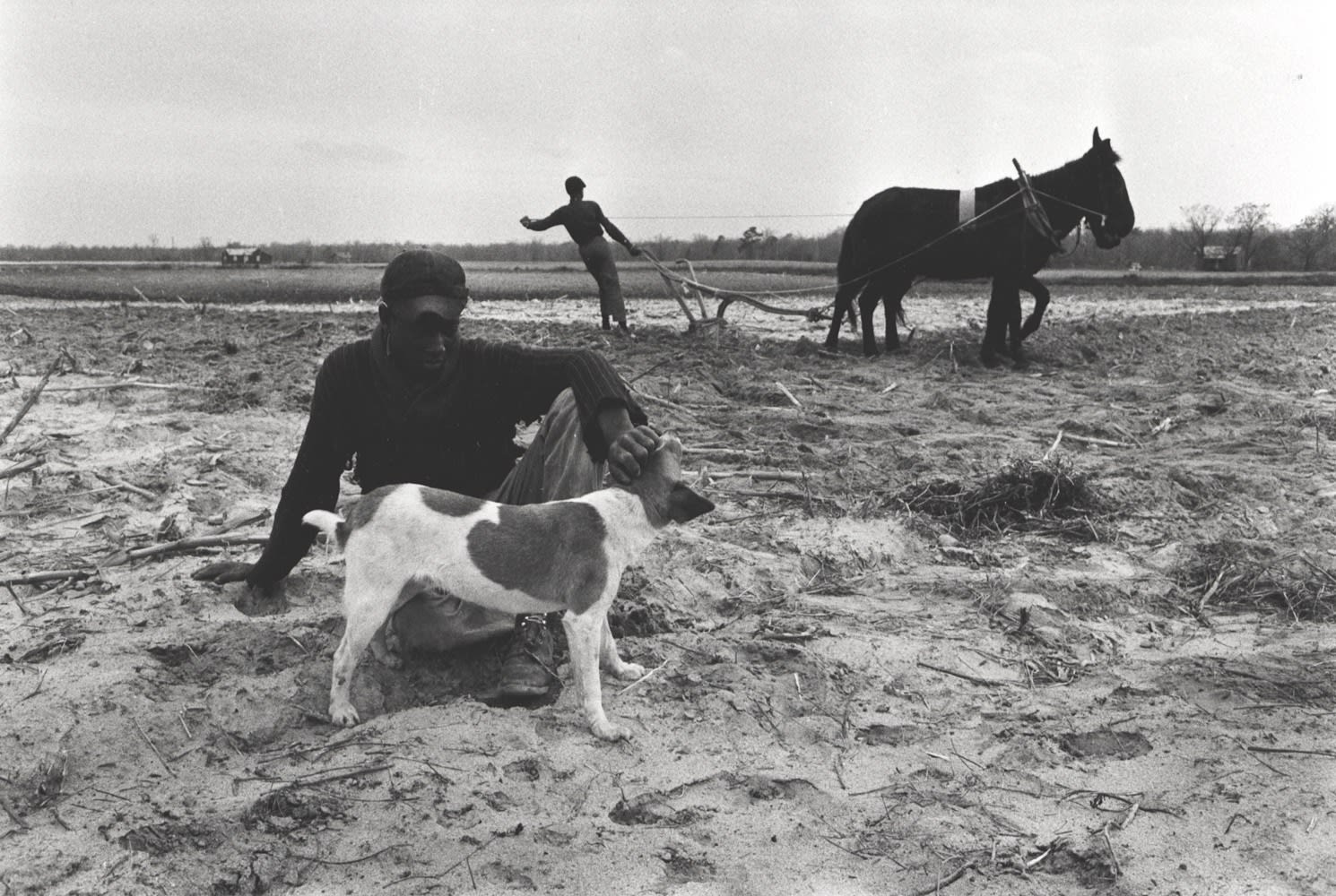 Constantine Manos, Untitled, Sharecroppers, South Carolina (2 men a dog and a plow mule), 1965