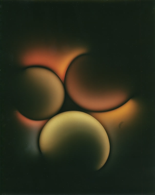 Len Gittleman, Untitled photogram (PGM-42), c. 1980
