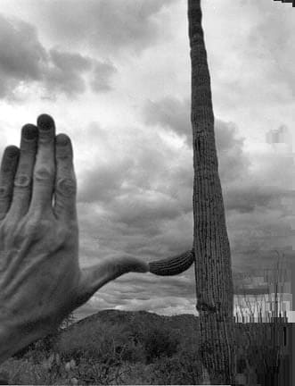 Arno Rafael Minkkinen, Saguaro National Forest, Tucson, Arizona, 1999
