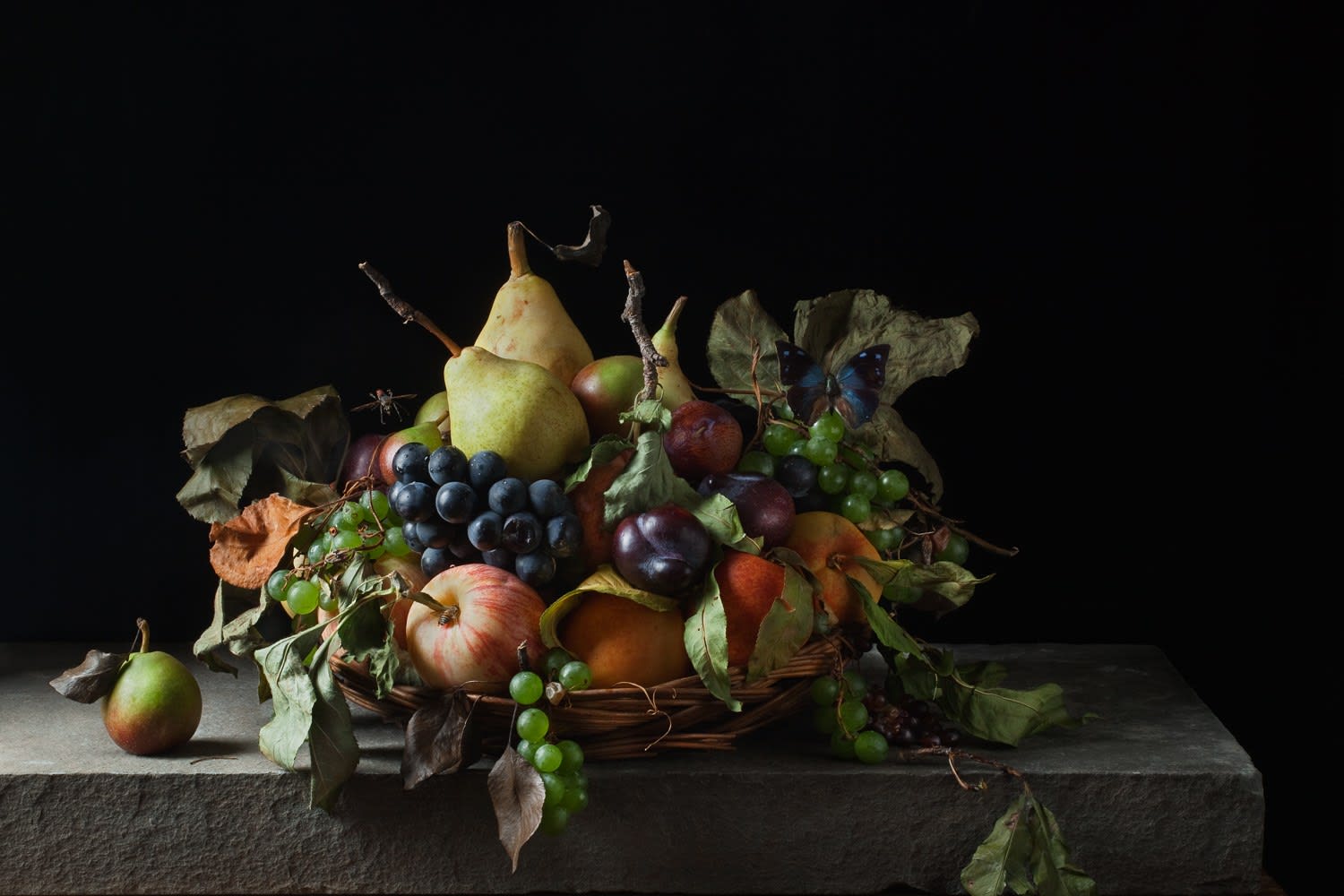 Paulette Tavormina, Basket of Fruit, After M.M.D.C., 2011