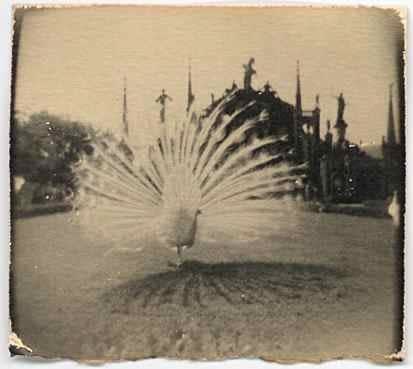 Masao Yamamoto, A Box of Ku #714, 1999