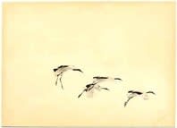 Masao Yamamoto, Nakazora #1170