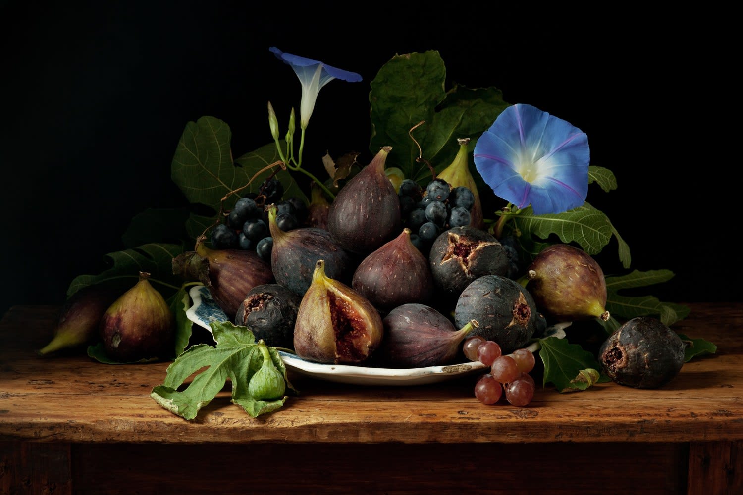 Paulette Tavormina, Figs and Morning Glories, After G.G., 2010