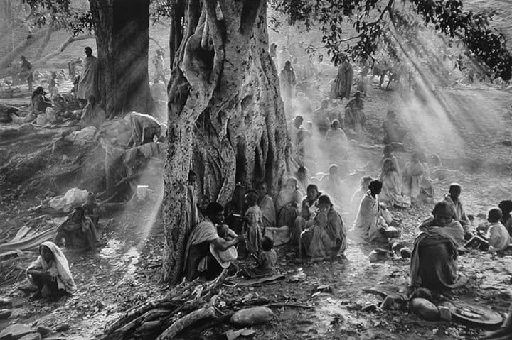 Sebastião Salgado, Refugees Hiding Under Trees to Avoid Government Airplane Surveillance, Tigray, Ethiopia; 84-3-13-43, 1984