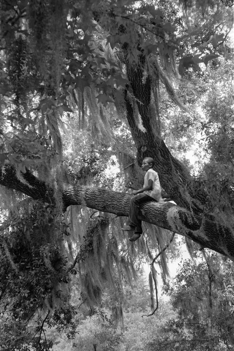 Constantine Manos, Island Boy, Daufuskie Island, South Carolina (boy in tree), 1952