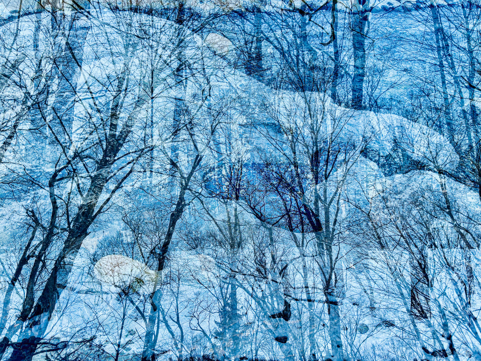 Stephen Wilkes, Winter #1 Trees with Snow