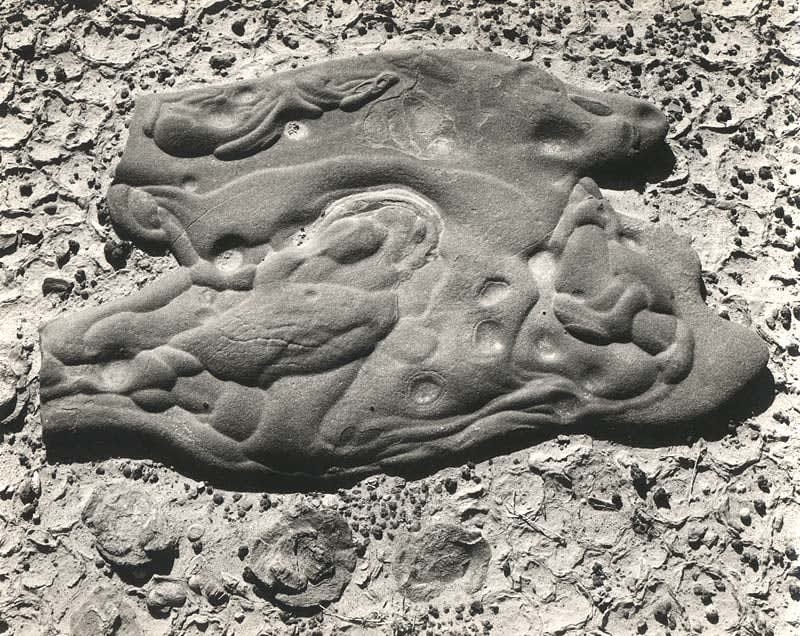 Edward Weston, Sandstone Concretion Salton Sea, 1937