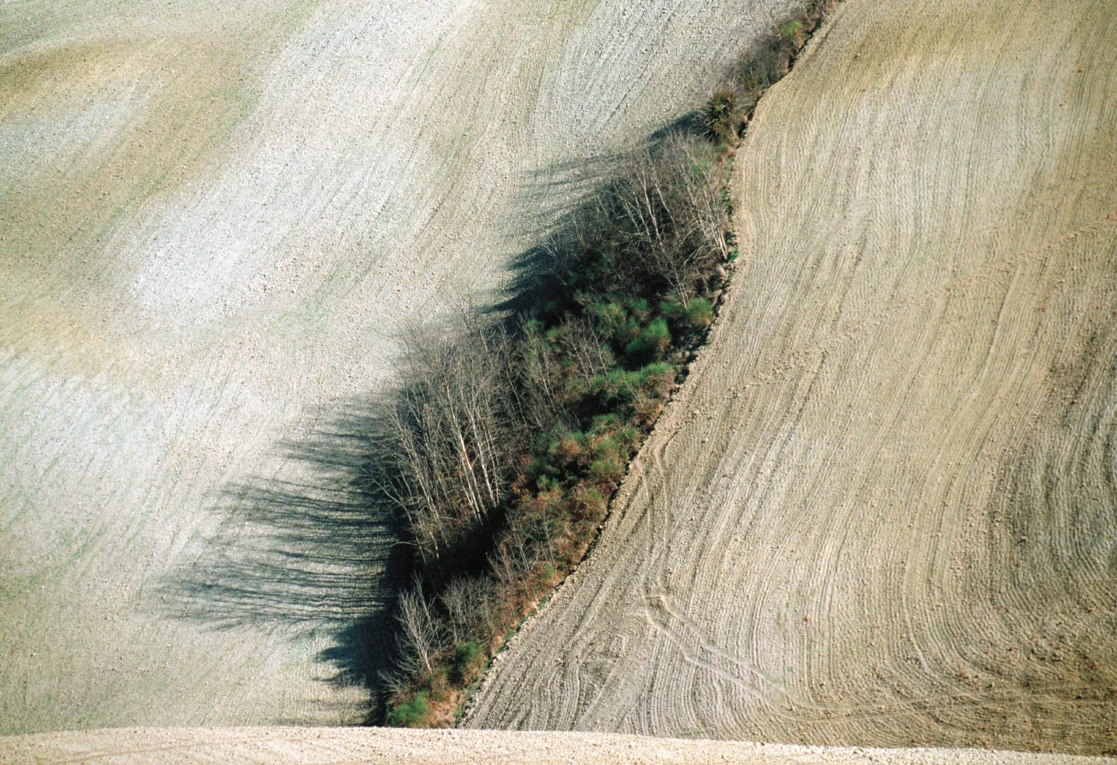 Franco Fontana, Toscana, 1995