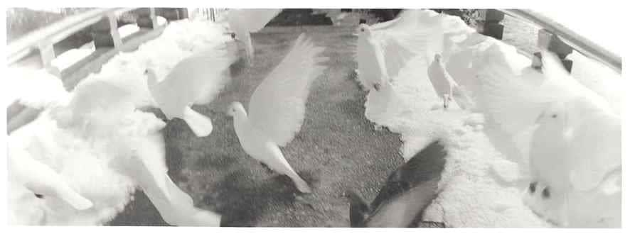 Masao Yamamoto, A Box of Ku #491, 1999