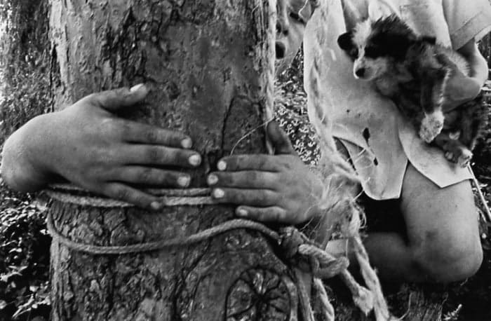 Mark Cohen, Kids tying dog to tree, 1974