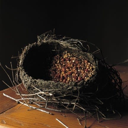 Wendy Burton, NEST: Berries, Dutchess County, New York, 2010