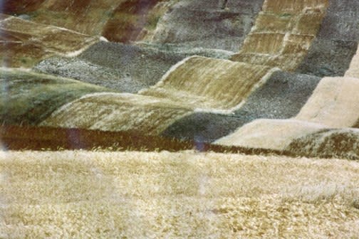 Franco Fontana, Landscape, Italy, 1987