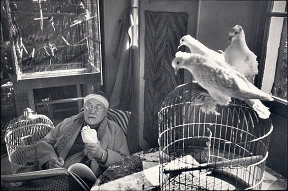 Henri Cartier-Bresson, Matisse with Doves, 1944