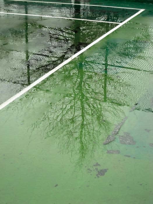 Jessica Backhaus, Greenpoint, from the series One Day in November, 2008