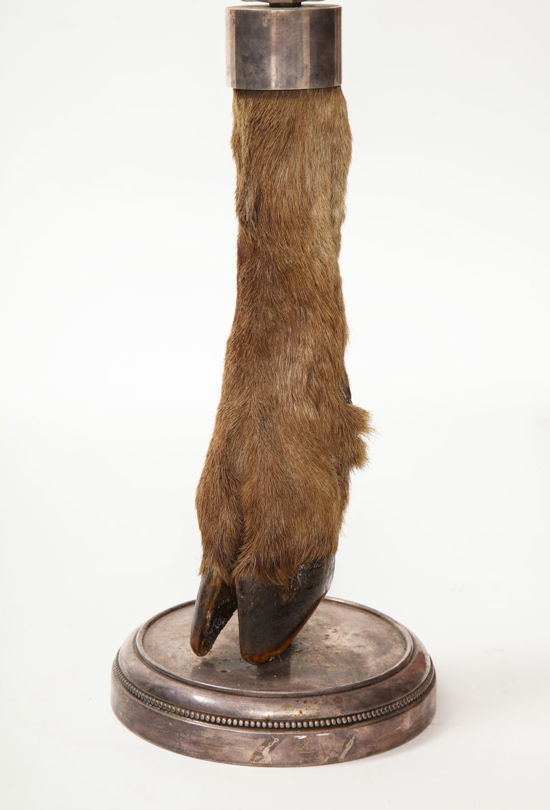 Table Lamp with Deer Hoof on Nickel Base