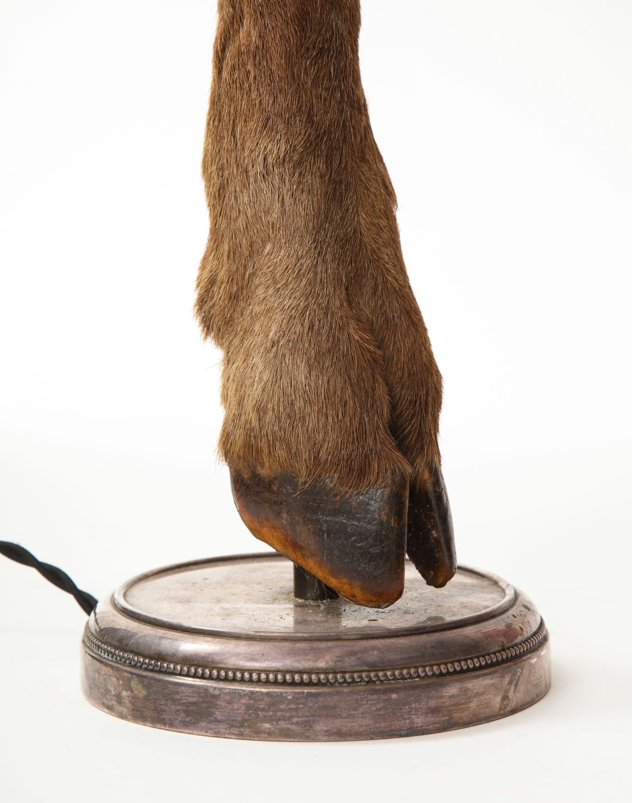 Table Lamp with Deer Hoof on Nickel Base
