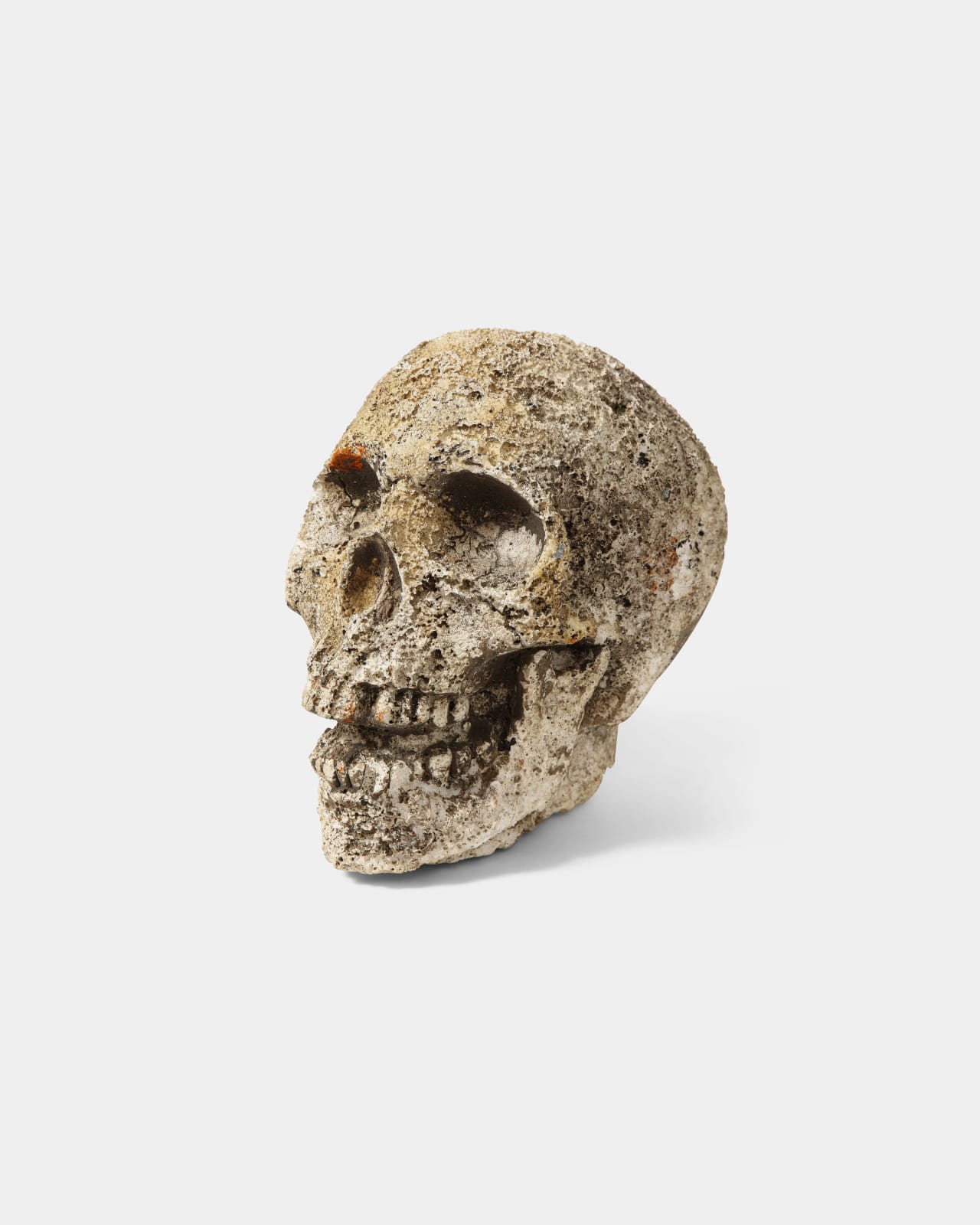 Sculpture of a Skull