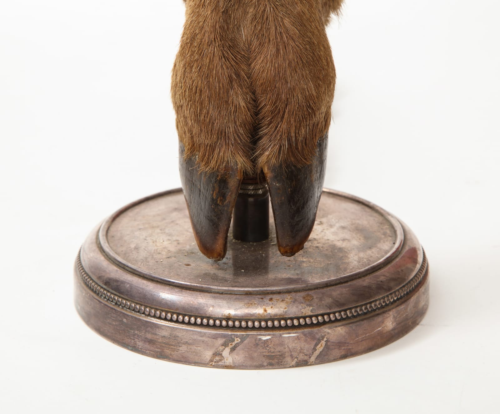 Table Lamp with Deer Hoof on Nickel Base