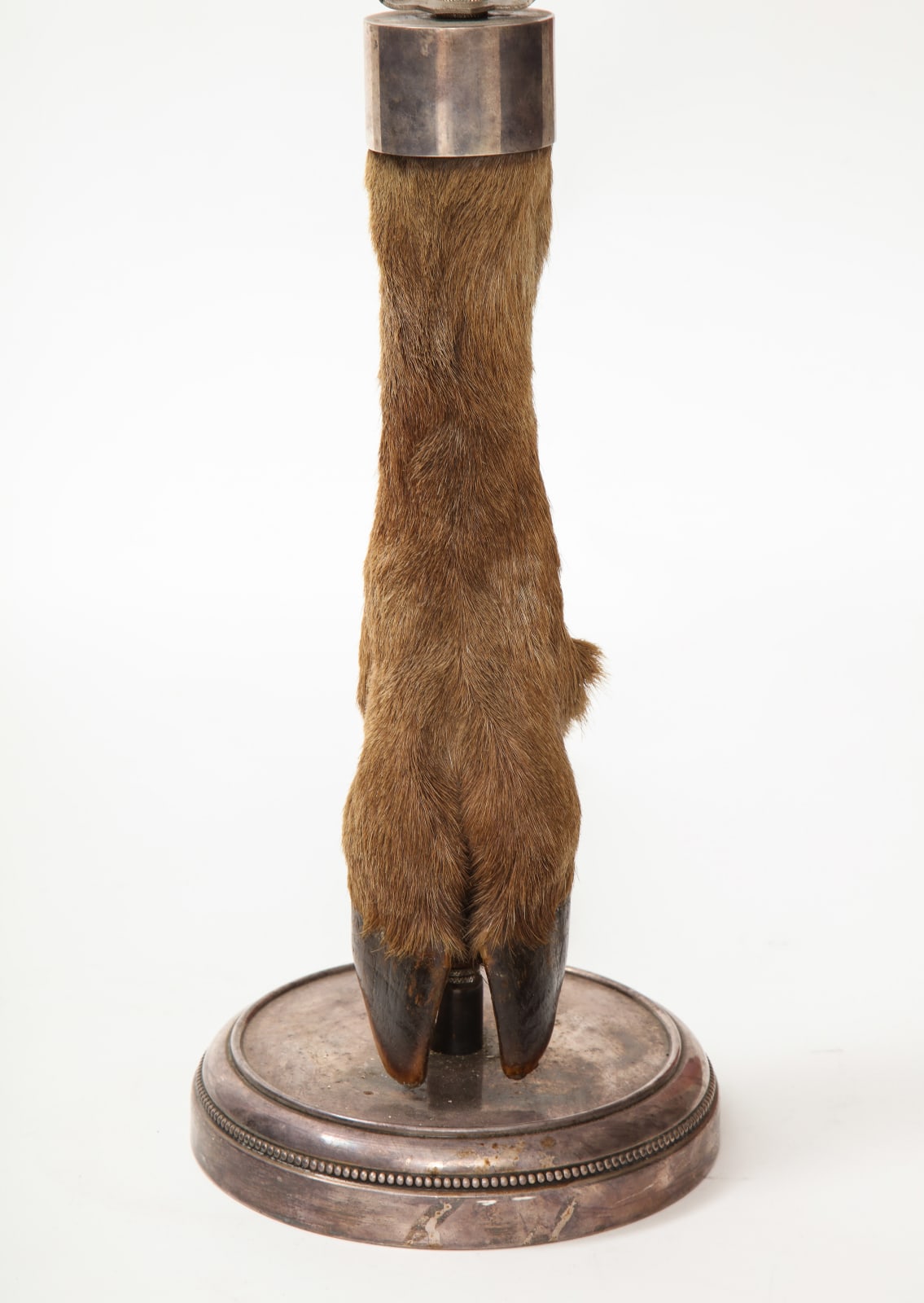 Table Lamp with Deer Hoof on Nickel Base