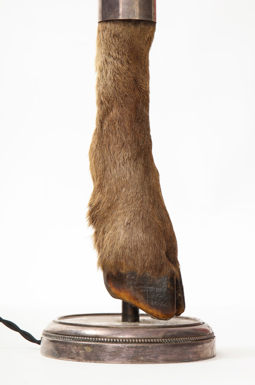 Table Lamp with Deer Hoof on Nickel Base