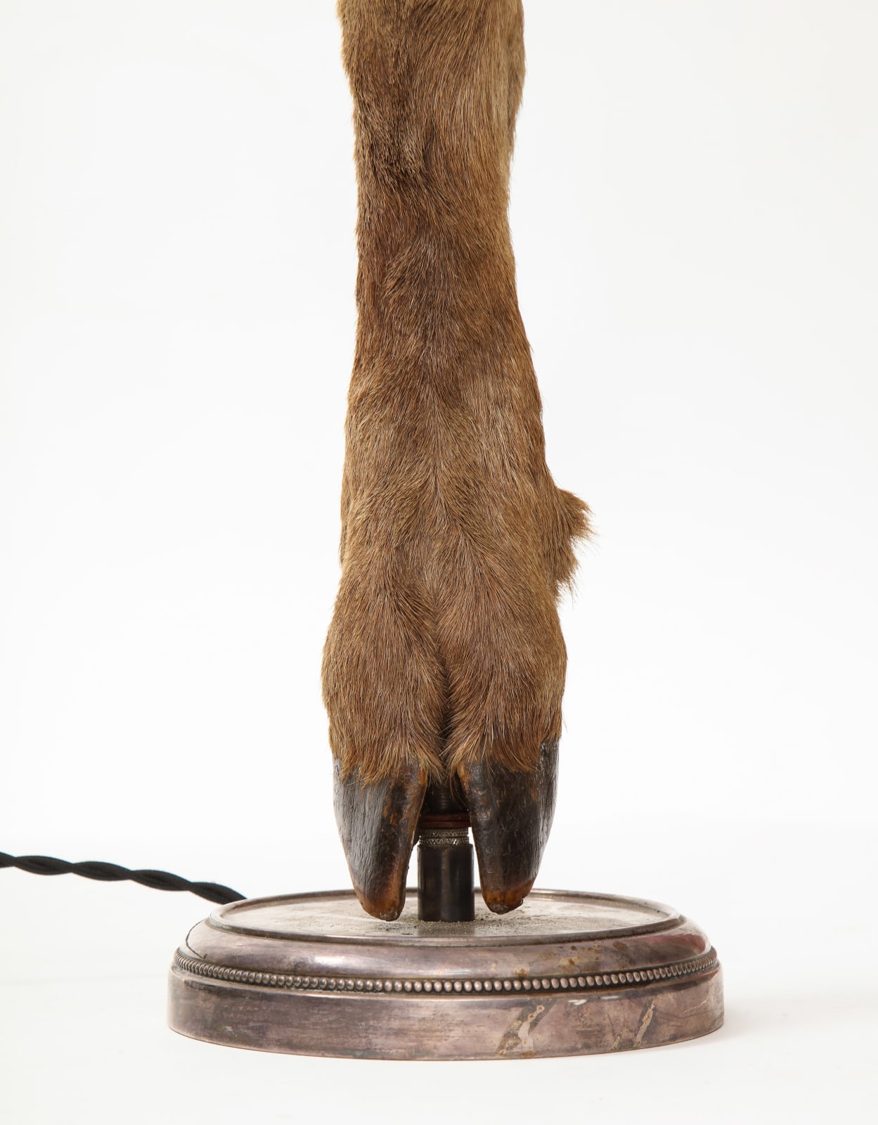 Table Lamp with Deer Hoof on Nickel Base