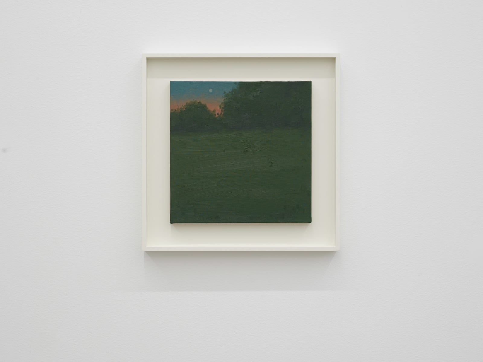 Will Gabaldón, Landscape Summer, 2024