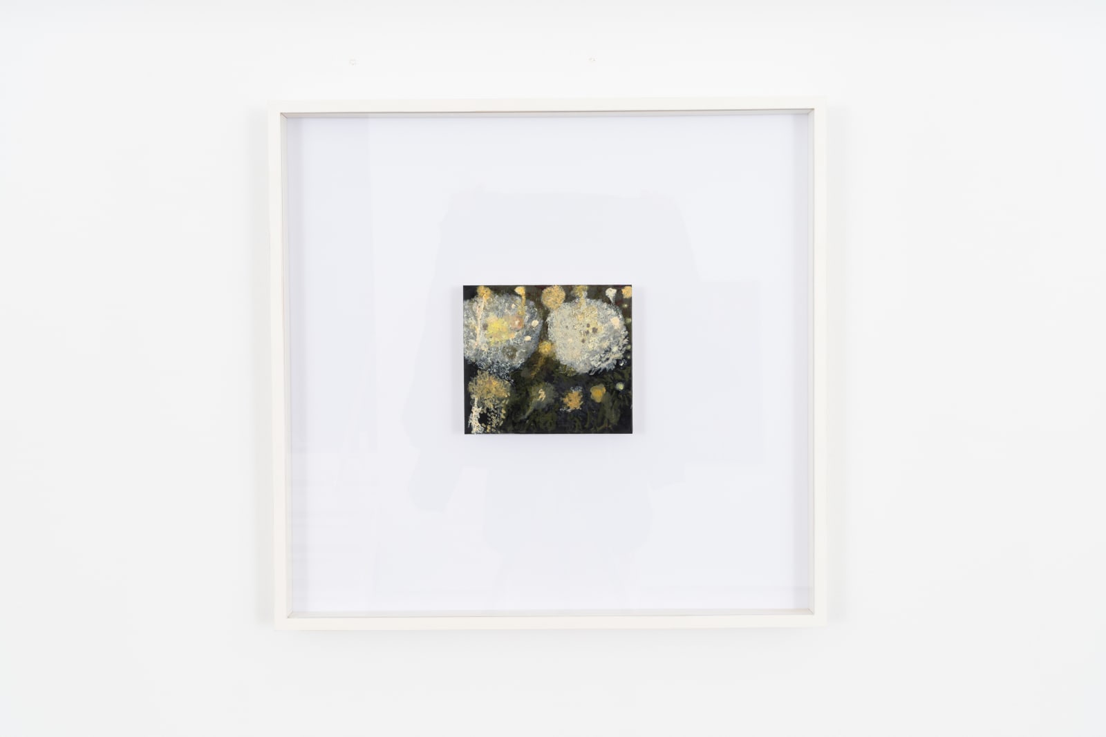 Morten Knudsen, Untitled, 2023
