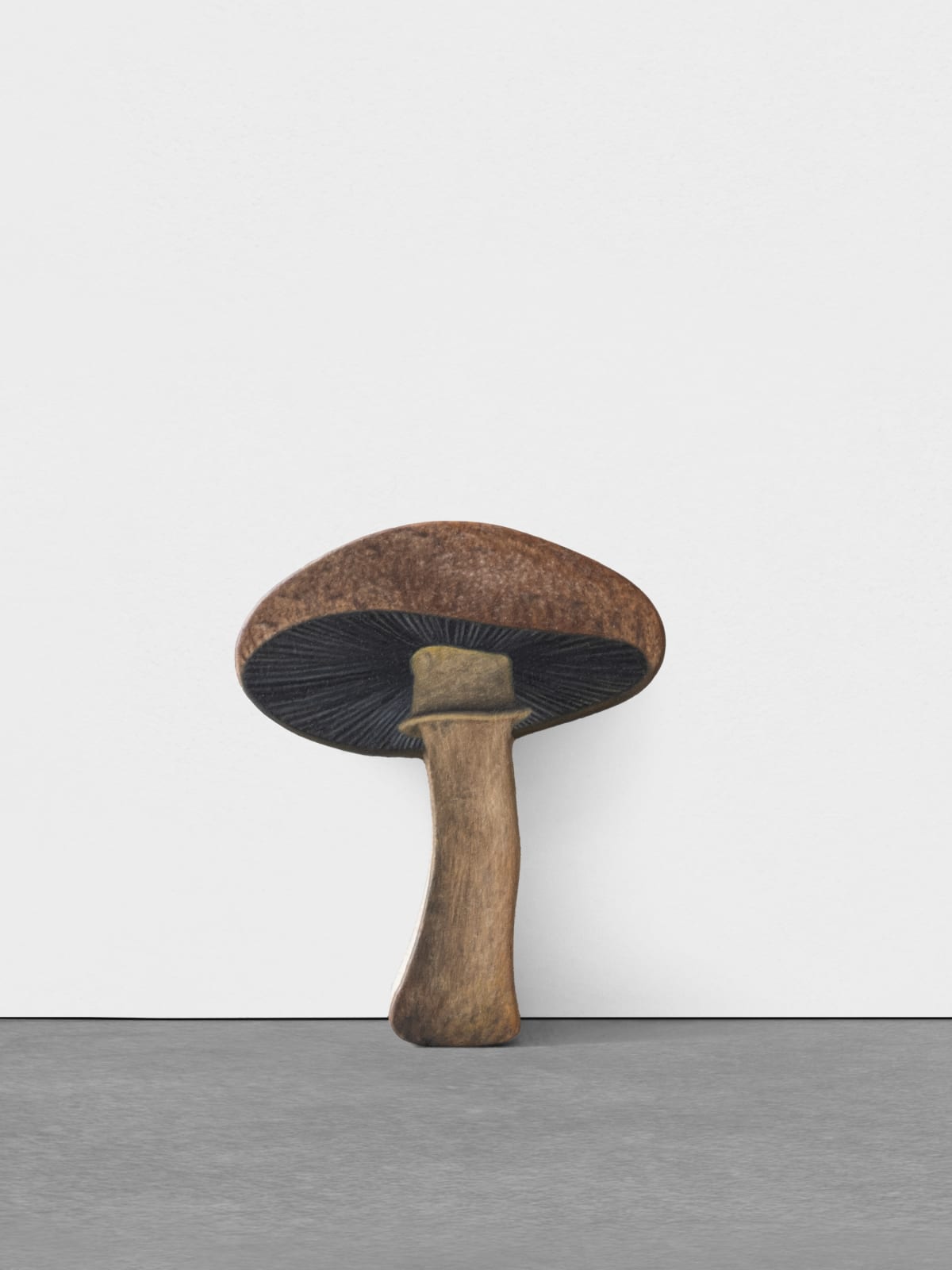 Marius Steiger, Mushroom, 2024