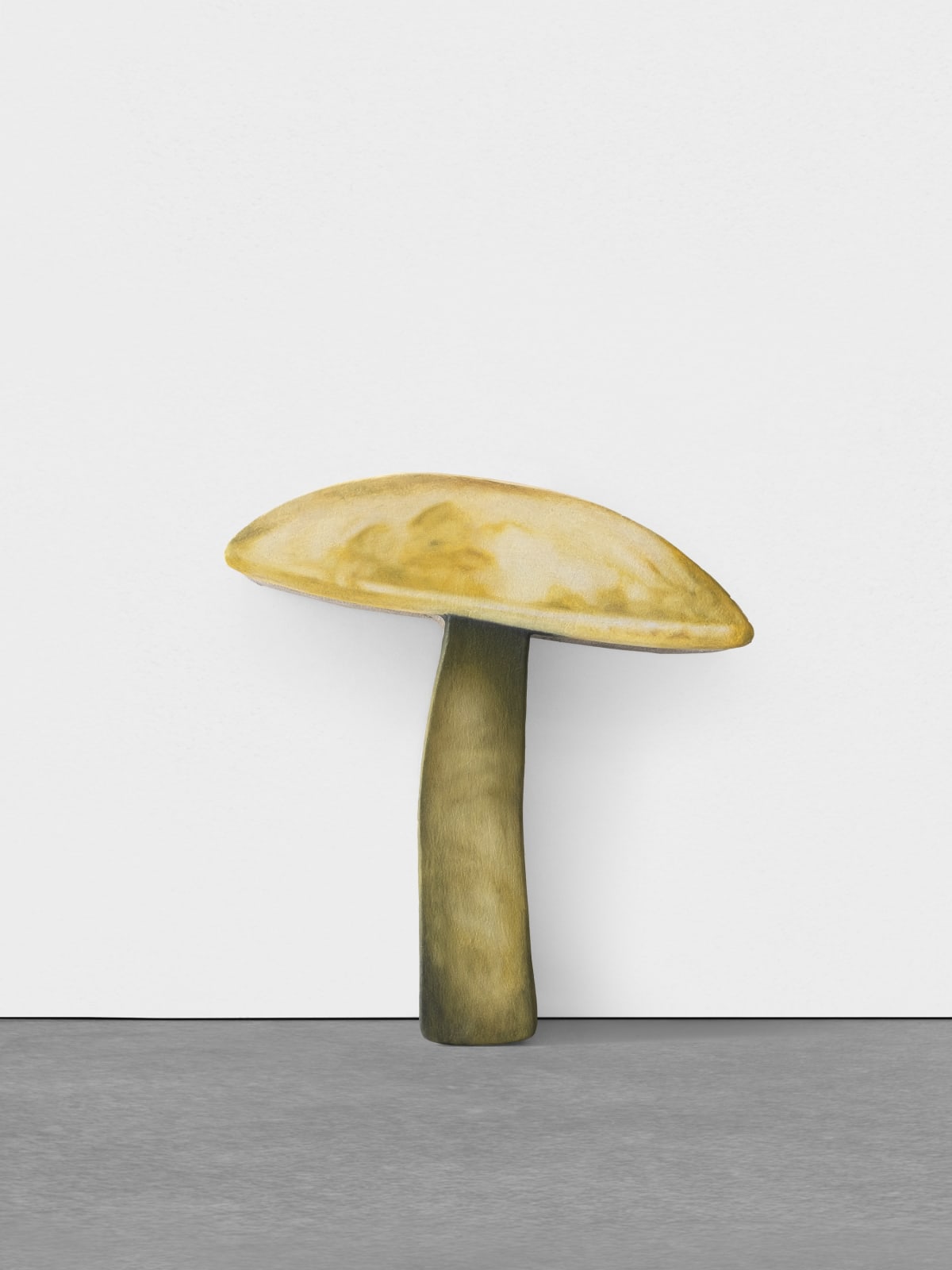 Marius Steiger, Mushroom, 2024