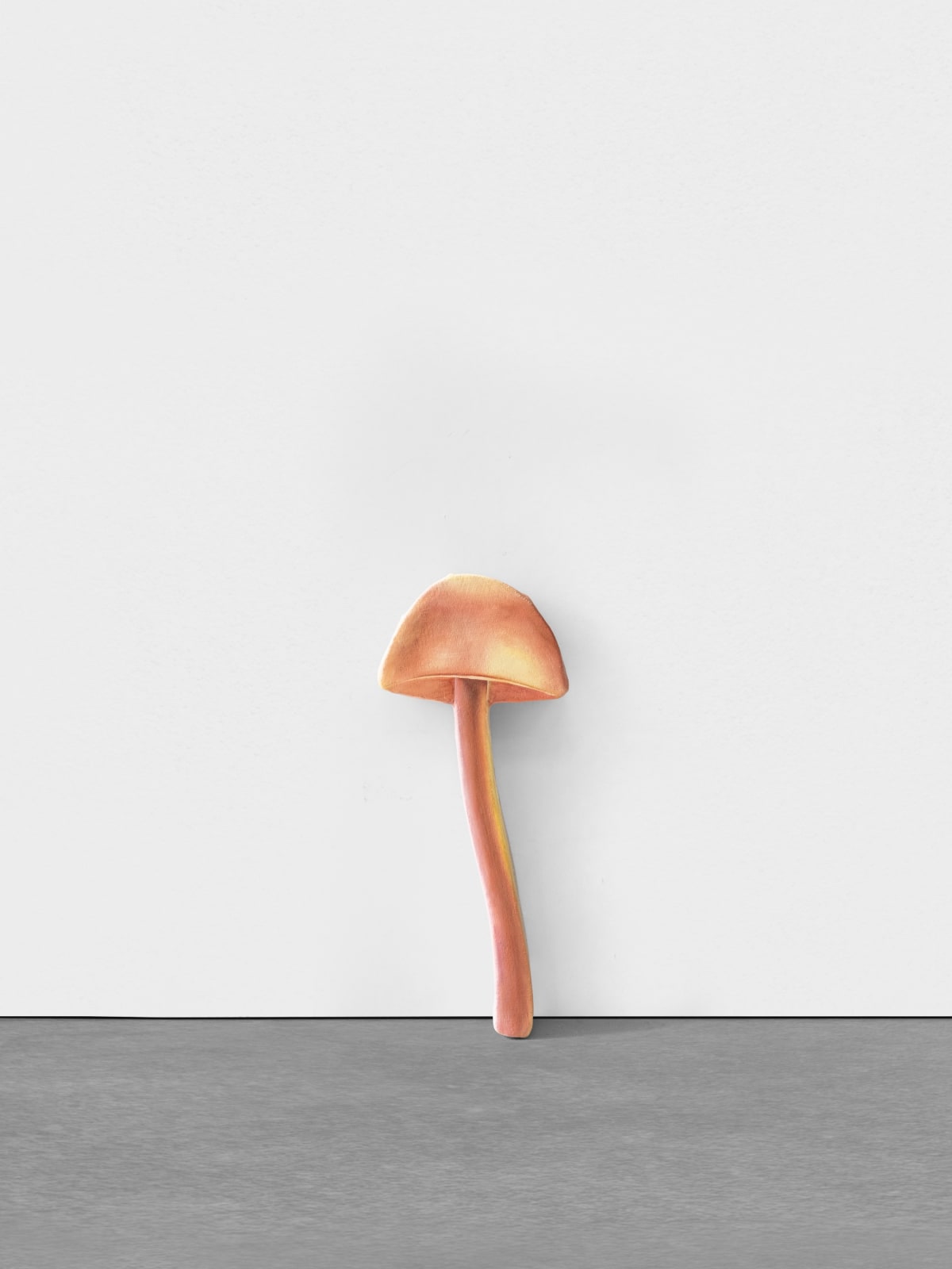 Marius Steiger, Mushroom, 2024