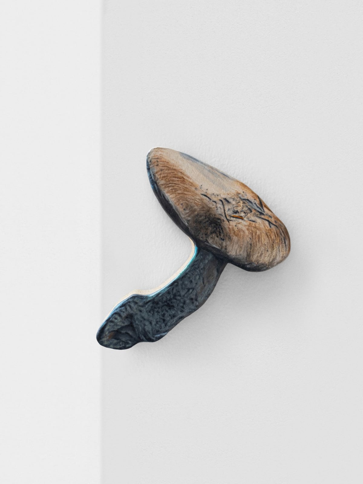 Marius Steiger, Mushroom, 2024