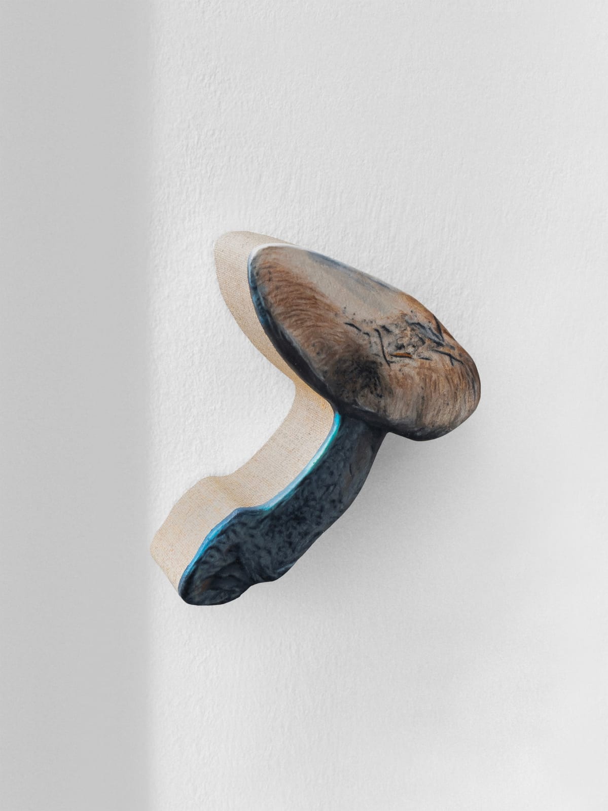 Marius Steiger, Mushroom, 2024