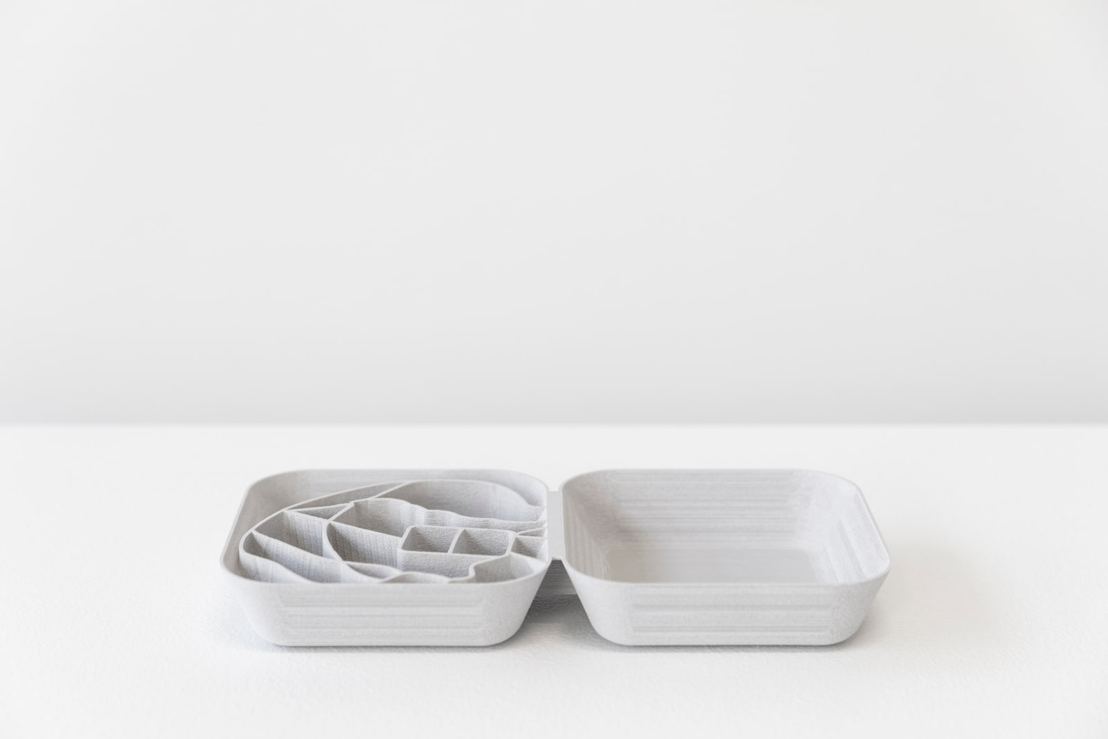 Johanne Hestvold, Edification (Oslo Botanical Garden) model, 2021