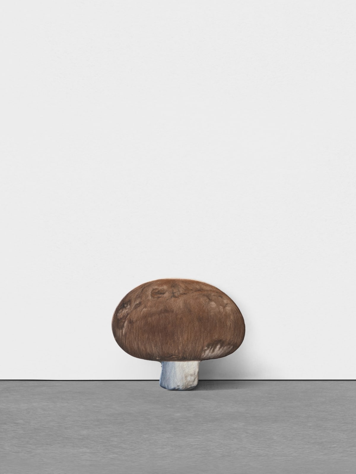 Marius Steiger, Mushroom, 2024