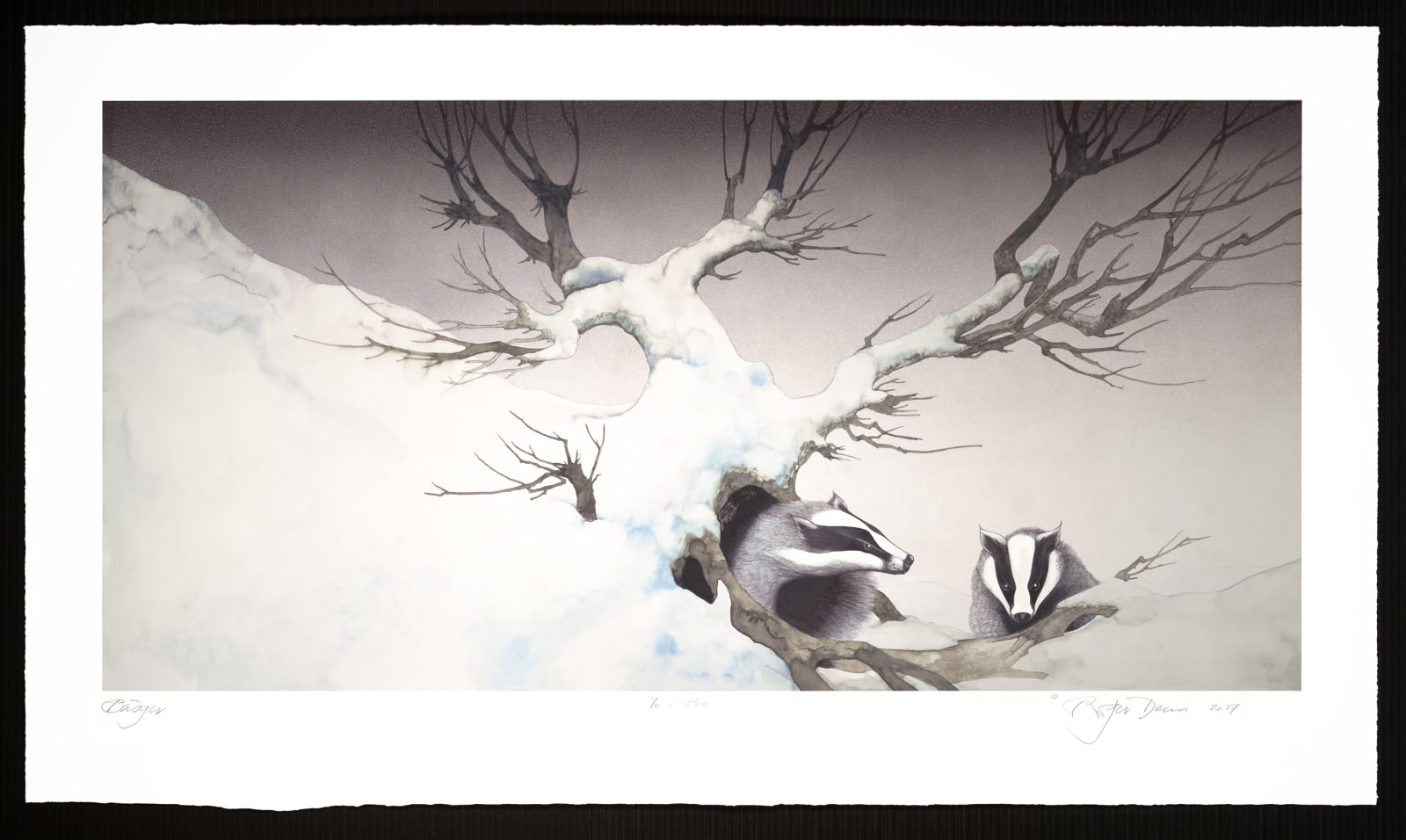 Roger Dean, BADGER , 2017