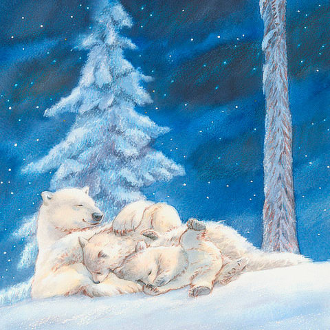 Cliff Wright, Starry, Starry Night, 2009