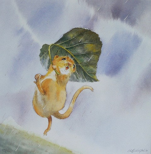 Cliff Wright, Singing in the Rain , 2009