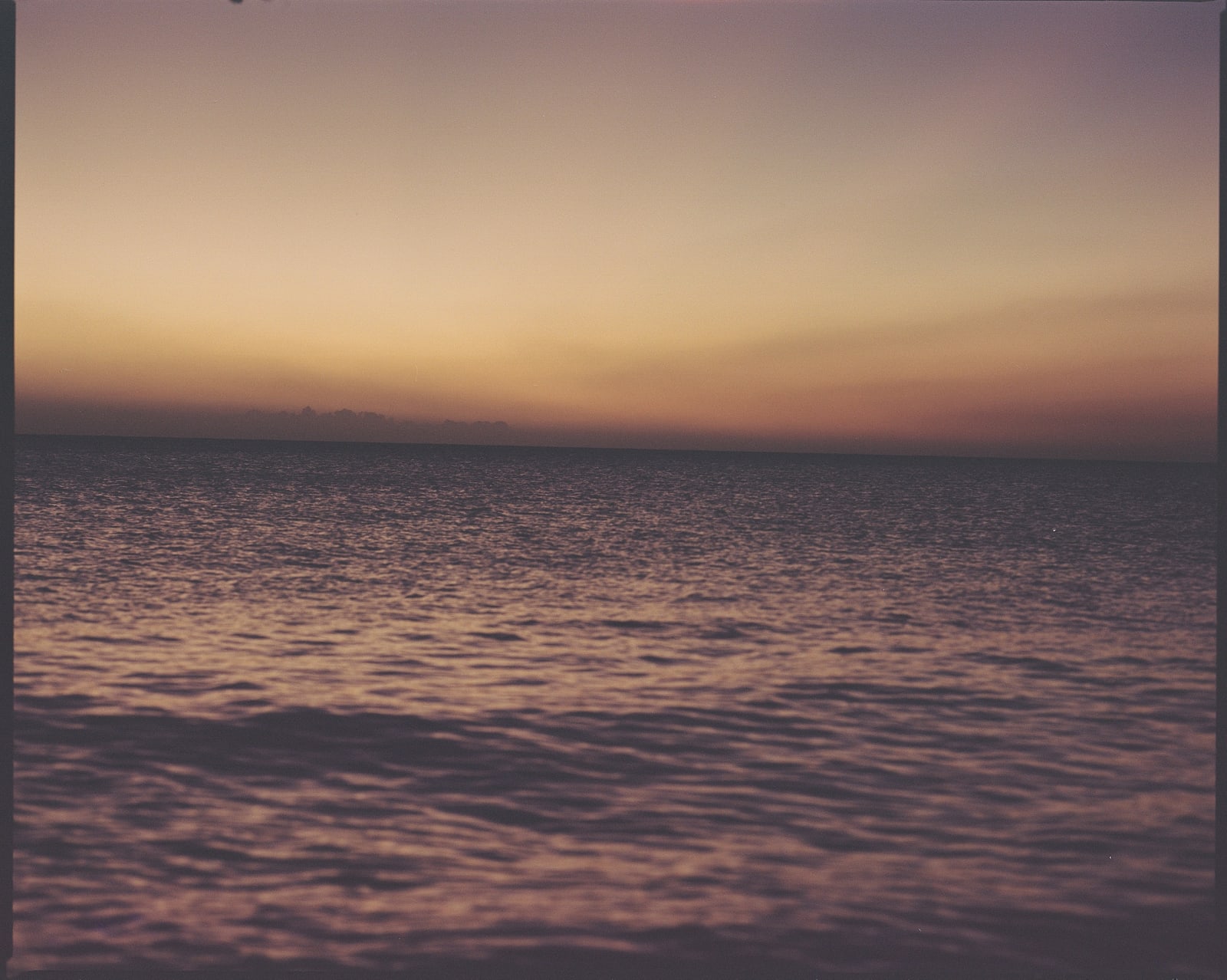 Roisin Jones, Untitled, 2024